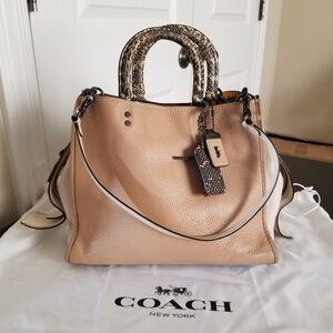 Coach 1941 Rogue 30 Beachwood Exotic Colorblock